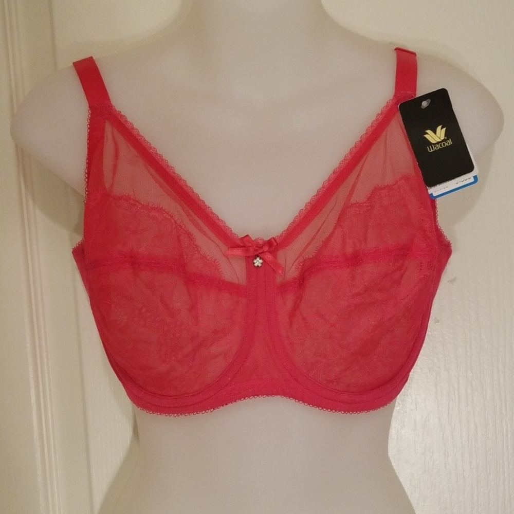 NEW Pink Sheer underwire Wacoal bra, 34DDD